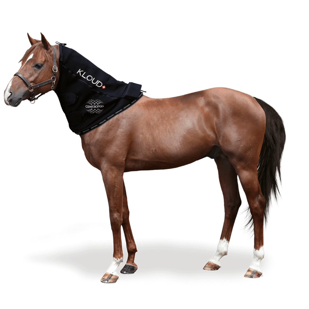 KLOUD VET NECK (1)